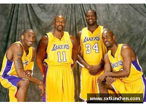 NBA 2012赛季：超级球星的辉煌与冠军之路