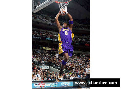 2016 NBA球星：风云再起，传奇续写