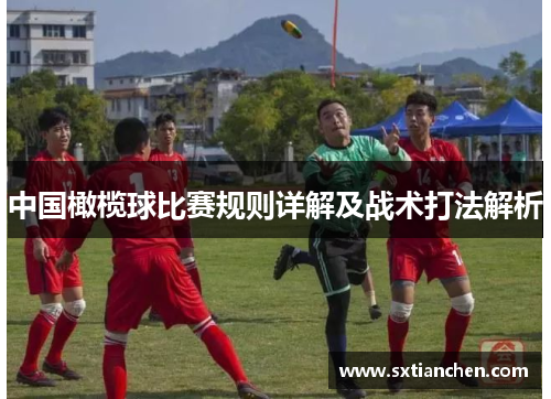 中国橄榄球比赛规则详解及战术打法解析