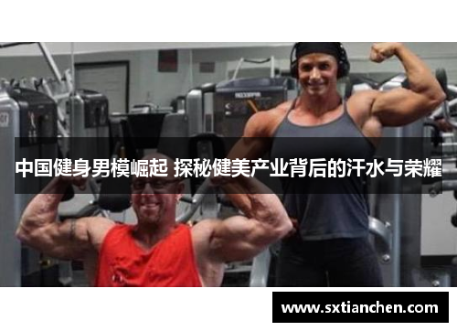 中国健身男模崛起 探秘健美产业背后的汗水与荣耀