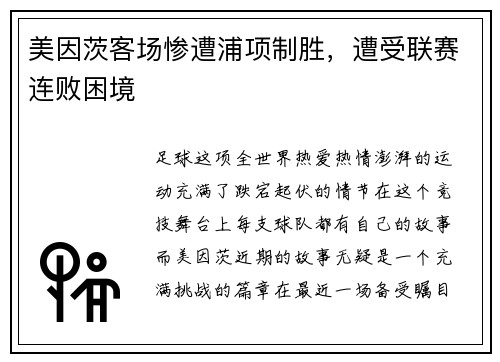 美因茨客场惨遭浦项制胜，遭受联赛连败困境
